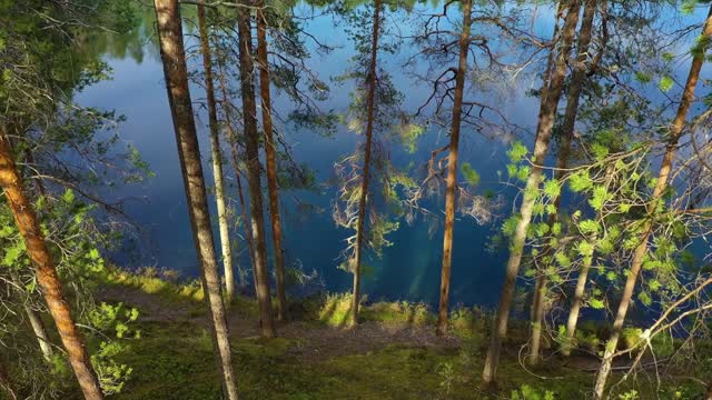 aerial view of the lake and forest in finland beautiful nature of finland