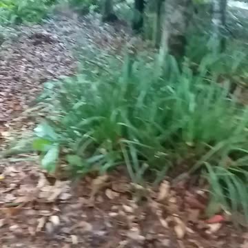 11.1.2024 Party in the Park