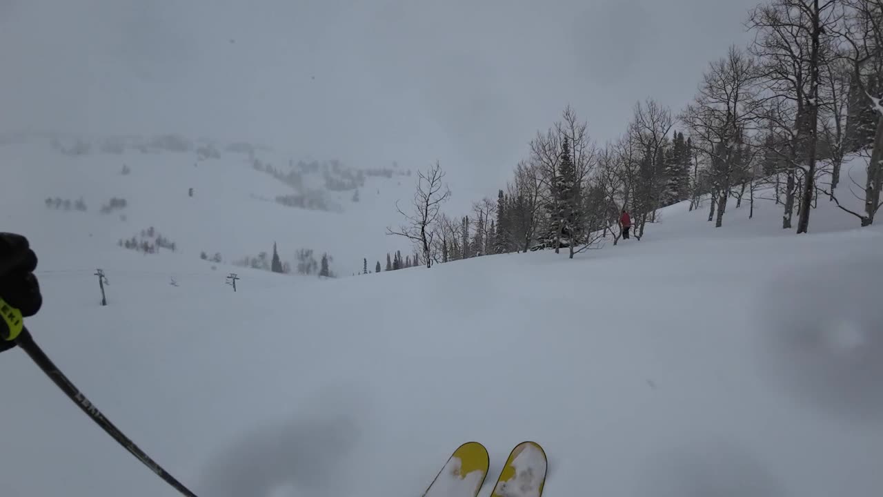 3/15 #2 Heading over to Mary's Snow was excilent the visability sucked