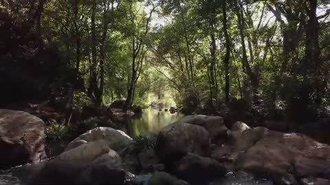 Relaxing Music | Sleeping, Meditation, Stress Relief | [1535] ⭐️