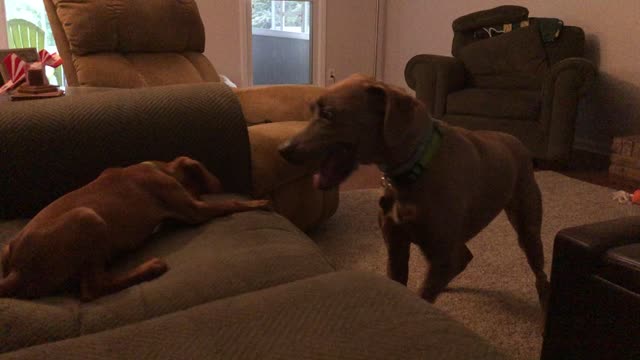 Maddie and Reagan continue getting to know each other