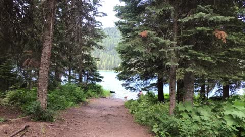 Upper Whitefish Lake