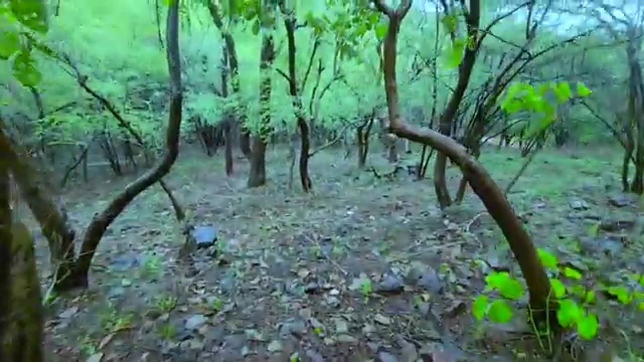24 house challenge in red alert on rain season