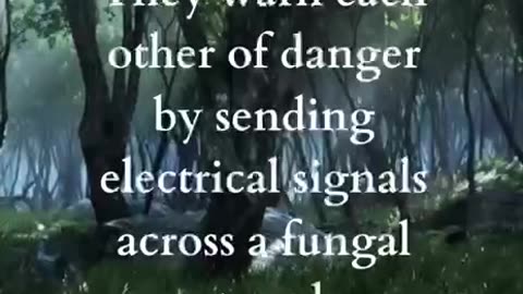 Did you know this about trees?