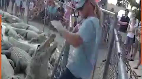 This Guy Is A Big Dummy