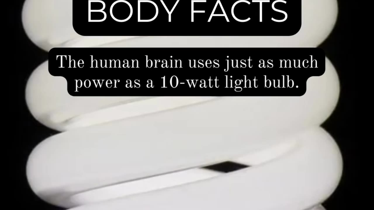 Unleash Your Curiosity: Surprising Body Facts