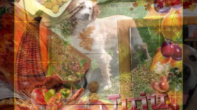 Golden Retrievers: Hearts of Gold - Thanksgiving 2022