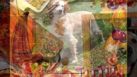 Golden Retrievers: Hearts of Gold - Thanksgiving 2022