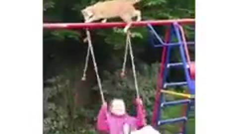Oh My God poor cat