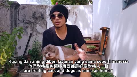 Haram tak haram? To our NEW MALAYSIA government: DOGS need you! HOPE希望护生园慈善晚宴@Kepong