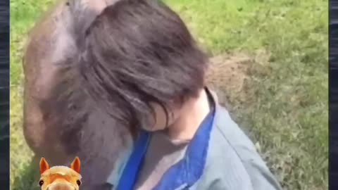 Funny video to make your day🤣🤣-click to see what happened to her