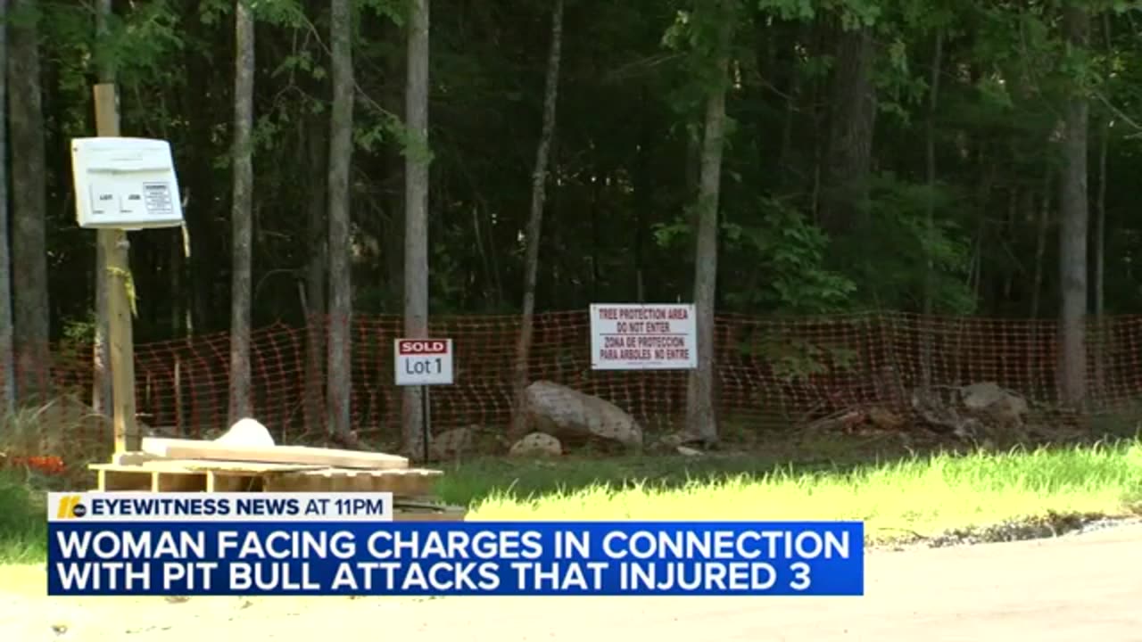 Mother, son attacked by pack of dogs while walking near Jordan Lake ABC News