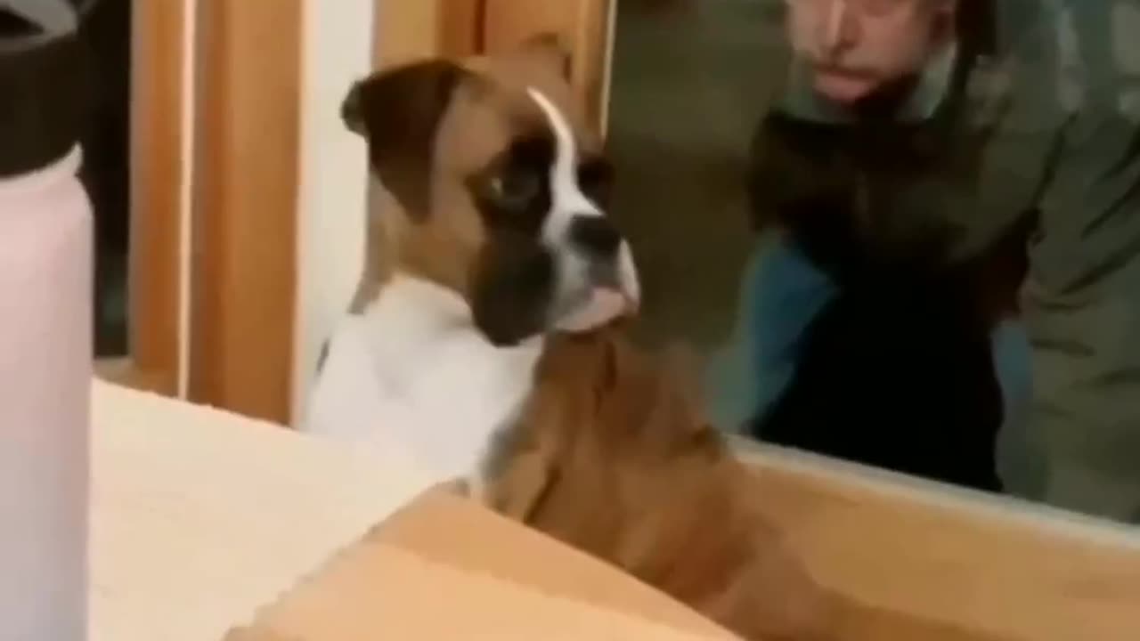 Funny video shocking experience follow us for more content