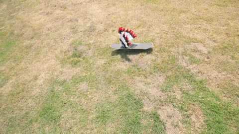 Learning to Skateboard