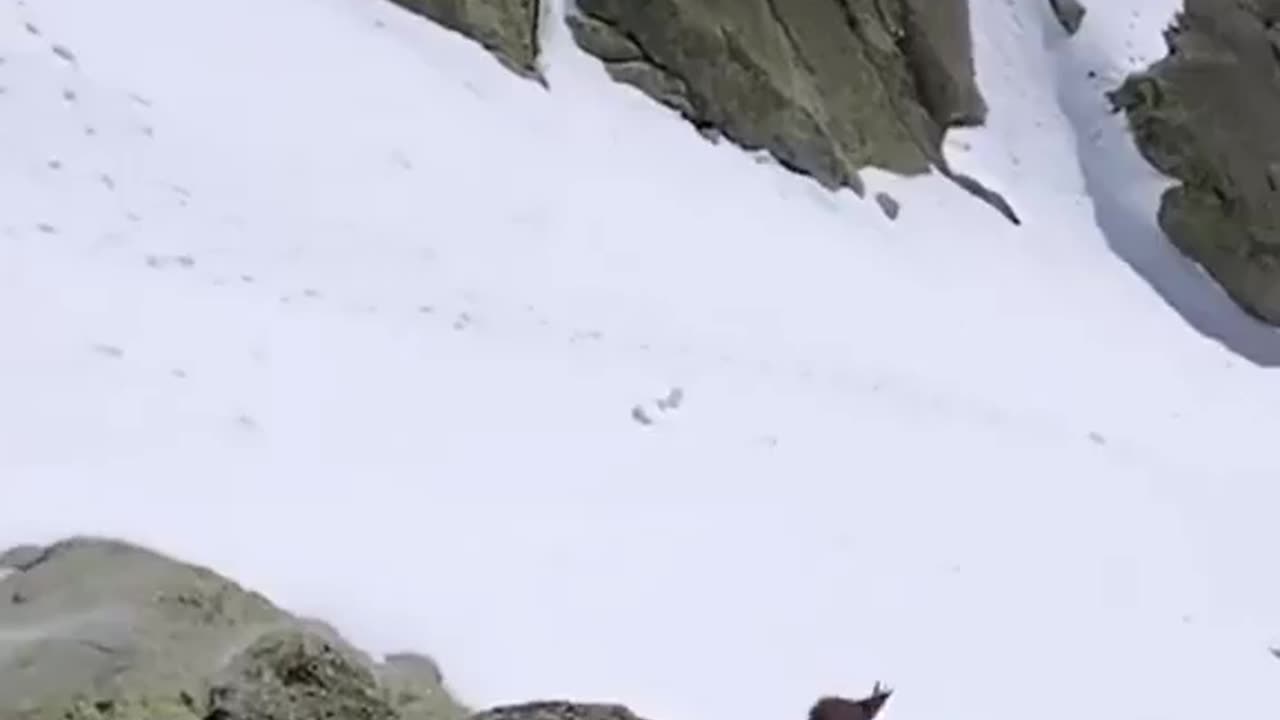 What is the