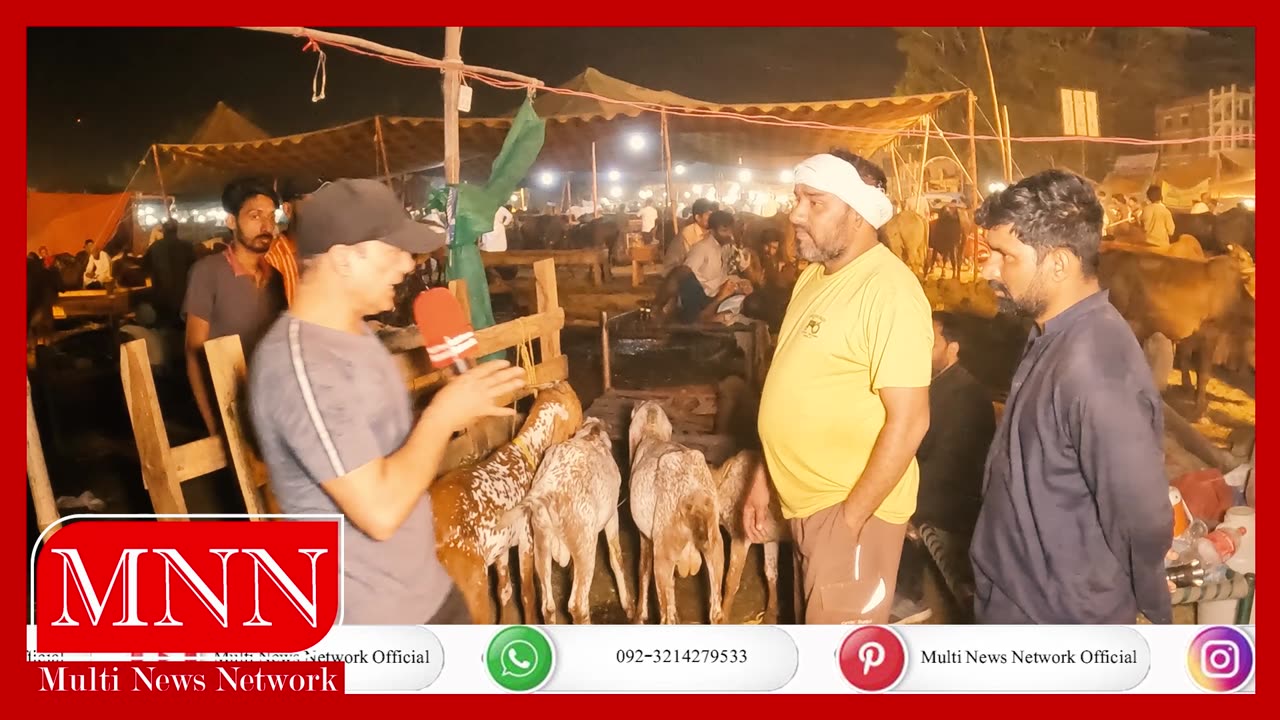 Goat Rates Also Increased In Manawan Cattle Market ,The Merchant And The Customer Both Are Worried