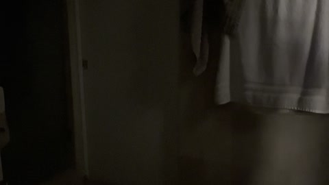 Mom Startled by Bathroom Alien Prank