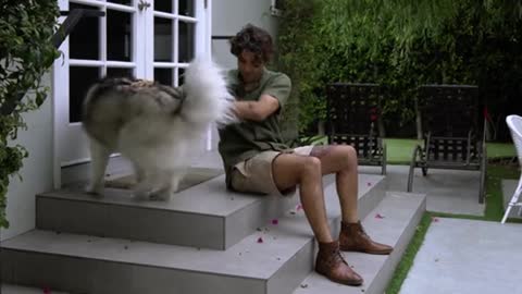 Amazing Man Petting a Dog