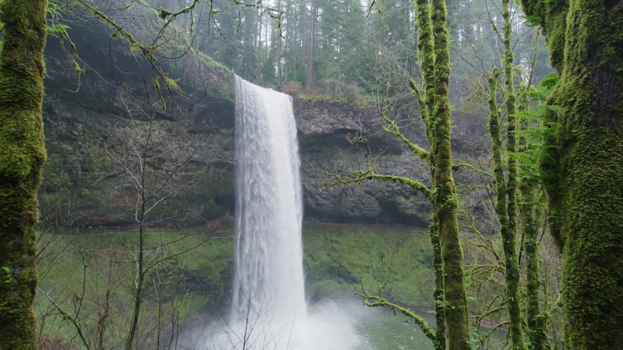 Gorgeous waterfall in a natural setting with refreshing shower-like water flow