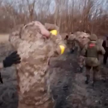 Ukraine pow