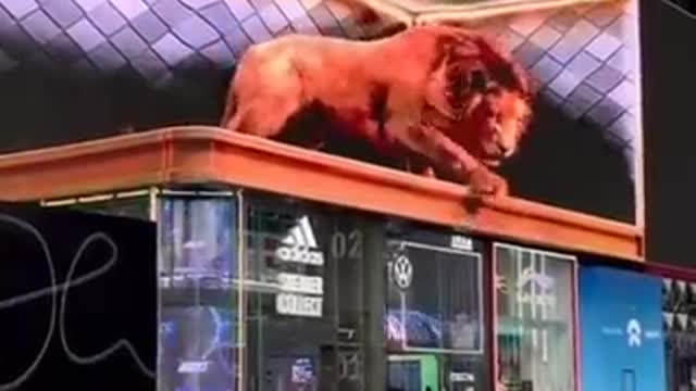 3D Billboard of a lion