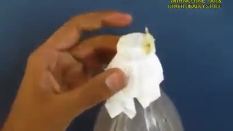 Reality Of Cigrate Smoking