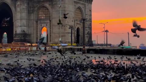 Mumbai heaven