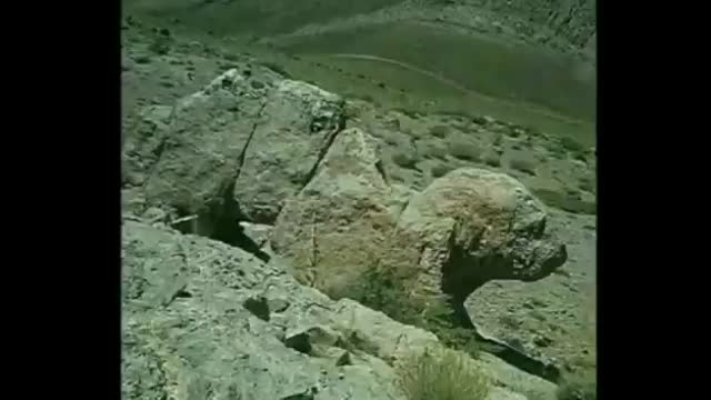 petrified titns we live on monsters