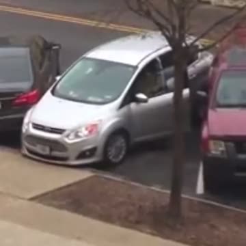 Democrat Congresswoman Attempts to Park Car With Mixed Results