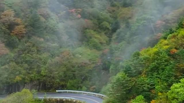 Early Autumn in Shennongjia, Autumn in Shennongjia, Dajiuhu meets Jinqiu