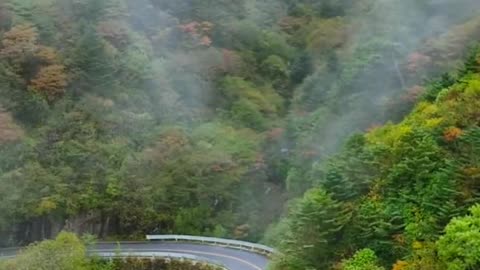 Early Autumn in Shennongjia, Autumn in Shennongjia, Dajiuhu meets Jinqiu