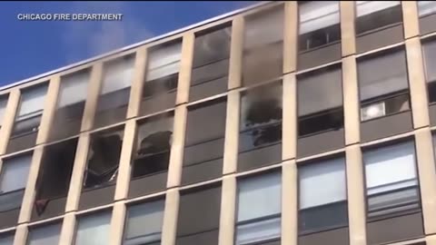 Chicago / Cat escapes fire by jumping from a 5 story window and running away unharmed