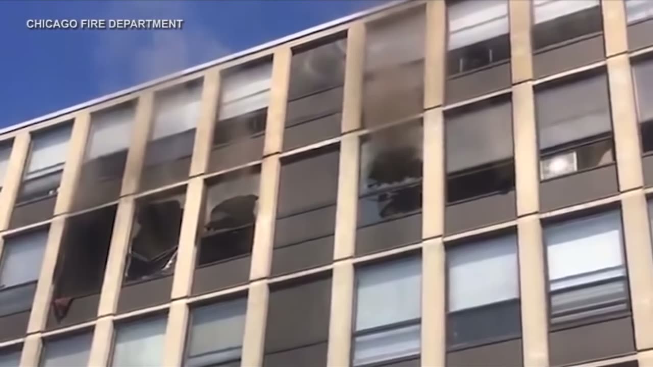 Chicago / Cat escapes fire by jumping from a 5 story window and running away unharmed