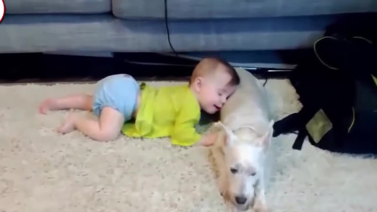 FUNNY | Dogs & Babies Playing Together |