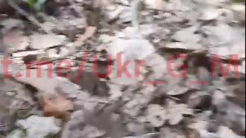 Ukraine War - A group of Ukrainian getting ambushed