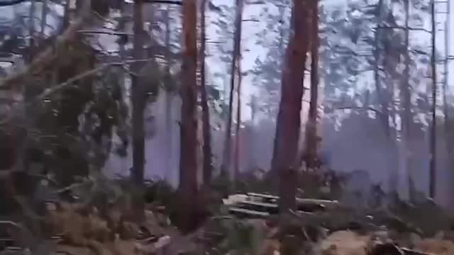 Heavy Machine gun fire in the forest