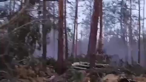 Heavy Machine gun fire in the forest