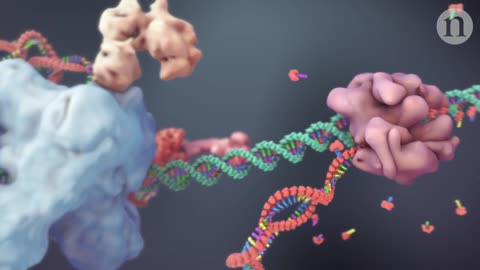 mRNA - it literally changes your DNA.