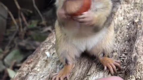 Follow our new YouTube channel for three new videos a week only available on YouTube