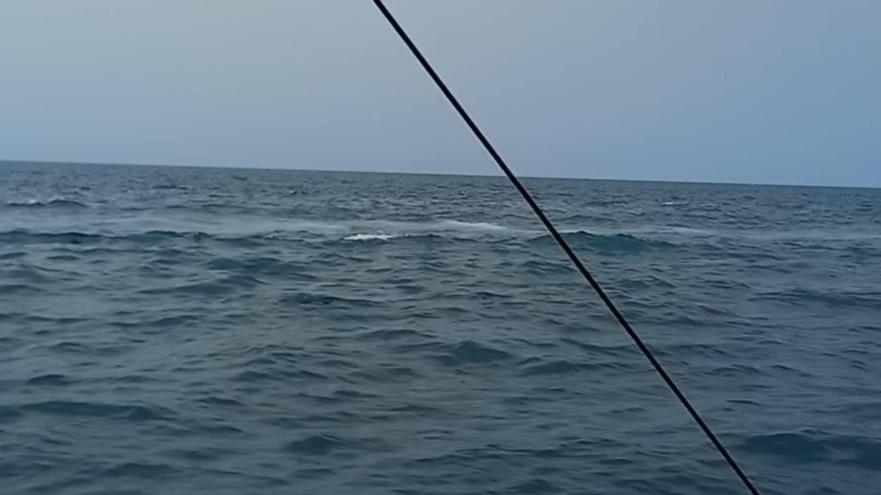 Sea trip 🌊