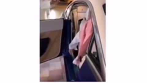Funny videos 👍