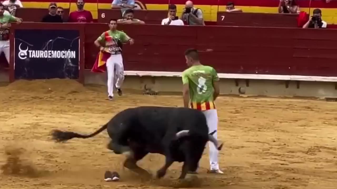 Bull Attack on man