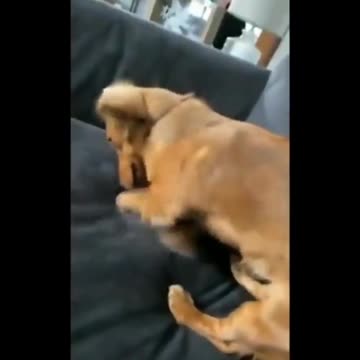 I think I saved it here