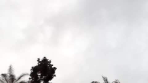 Tuesday, May 30, 8:19am finish, 2023. COCOA UP = JESUS = CROSS = MESSIAH.