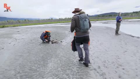 Bald Eagle Adventure