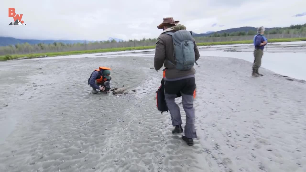 Bald Eagle Adventure