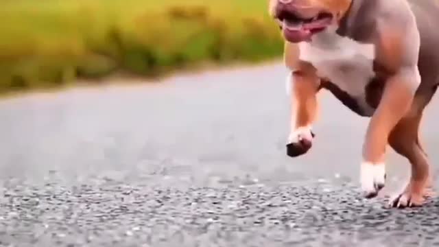 Do training videos interested in the great