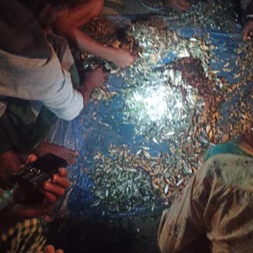 Bangladesh 🇧🇩 local Fish 🐟