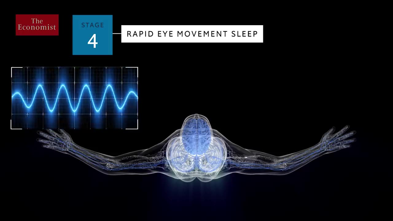 What Happens when we Sleep?