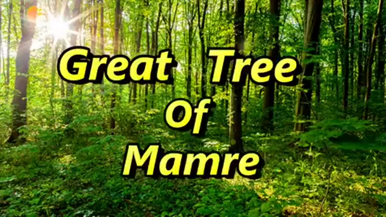 The Bible Talks Of Giant Trees They Were Trees of Biblical Proportion With Tops Above The Clouds